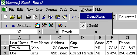 example Excel